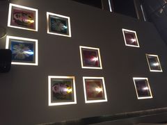 iphone_upload_pic-杭州西湖桔子水晶酒店