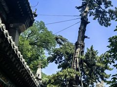 -潭柘寺景区
