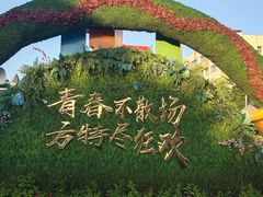 -厦门方特梦幻王国