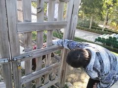 -静之湖湖畔餐厅