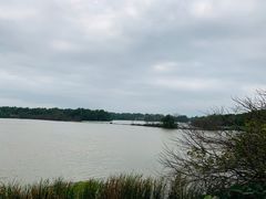 -大湾区中央湿地公园