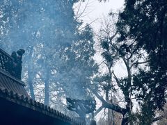 -洛阳白马寺