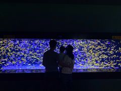 -成都浩海立方海洋公园