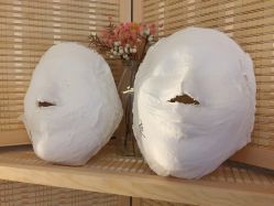 -FACE·日本小颜矫正美容整骨サロン