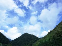 -牛背梁国家森林公园