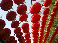 -曹州牡丹园