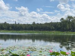 -长春市南湖公园