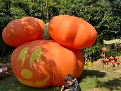 -HERRE·FARM 赫尔露营农场·团建聚会包场