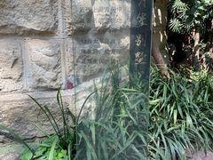 -南山植物园