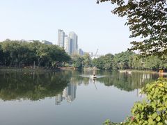 -荔湾湖公园