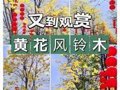 -洲头咀公园