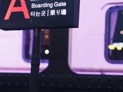 -武汉知音号