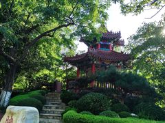 -大连植物园
