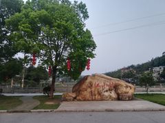 -红山村
