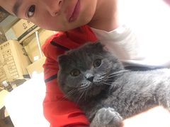 -华仔龙虾(永乐路总店)