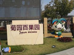 -菊园百果园