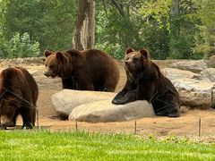 -北京野生动物园