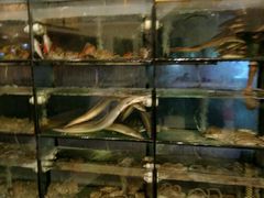 -合家小菜餐馆(新诚花苑店)