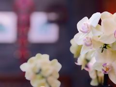 -北京古城老院厉晓麟精致菜