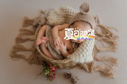 -小熊维尼高端孕婴摄影(清湖金銮店)