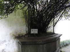 -乌镇东栅景区-茅盾故居