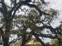 -桂林独秀峰王城景区
