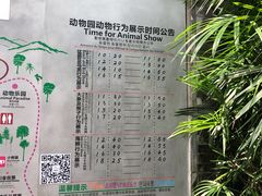 -熊猫主题餐厅