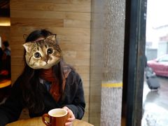 -VOYAGE COFFEE(北锣鼓巷店)