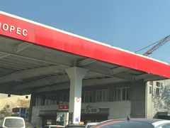 -中石化加油站(文一村站)