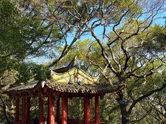 -乌山风景区