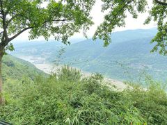 -铁山坪森林公园