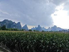 -明仕田园