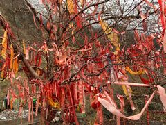 -叠溪松坪沟景区