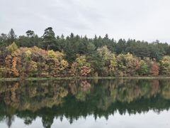 -美人松苑