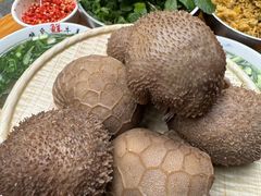 -熊氏牛羊杂粉(龙眼井总店)