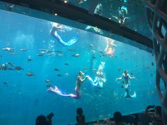 -瑞德姆美人鱼海底演艺主题餐厅(亚龙湾店)