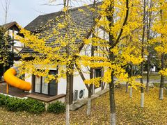 -太阳岛度假酒店