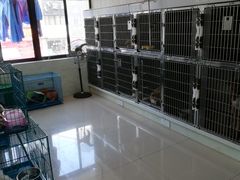 -宠颐生宠物医院·骨外科·犬猫全科诊疗中心(池州店)