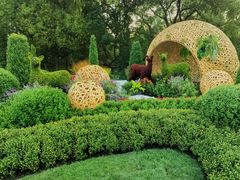 -上海共青森林公园