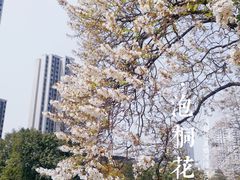-红星桥(地铁站)