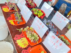 -马陆小张葡萄园农家乐