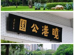 -晓港公园