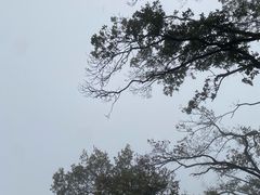-塔云山