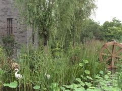 -武清南湖绿博园