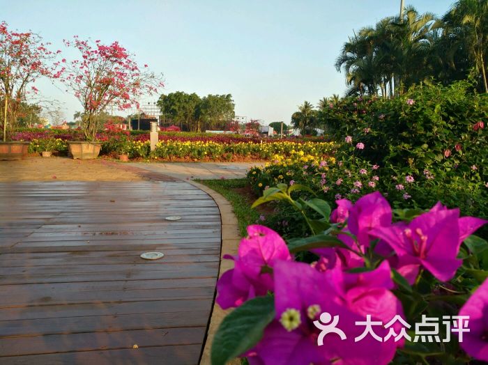 万绿园图片 - 第503张