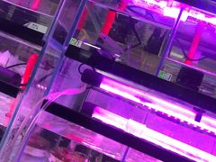 -三旗百汇商品城