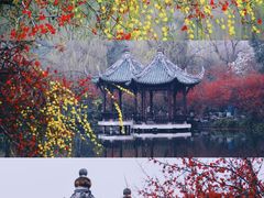 -棠湖公园