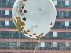 -普朗姆生蚝牛排馆 The Plump Oyster(成都摩方购物中心店)