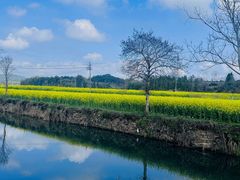 -苏泡泡豆花烤鱼(婺源店)