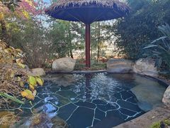 -七彩云南古滇温泉山庄